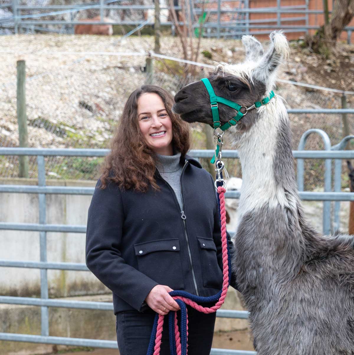 Fiona de Vet – Kluser Lamas in Aesch